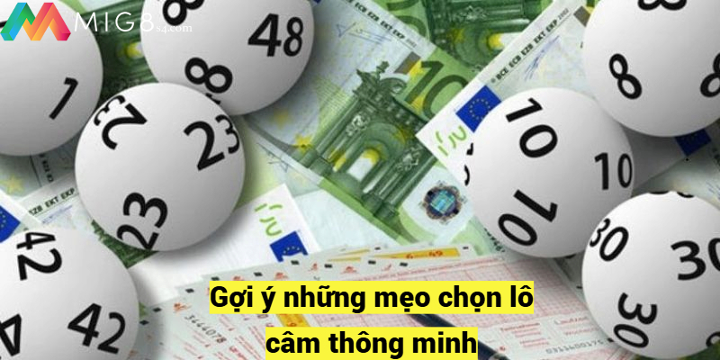 Gợi ý những mẹo chọn lô câm thông minh