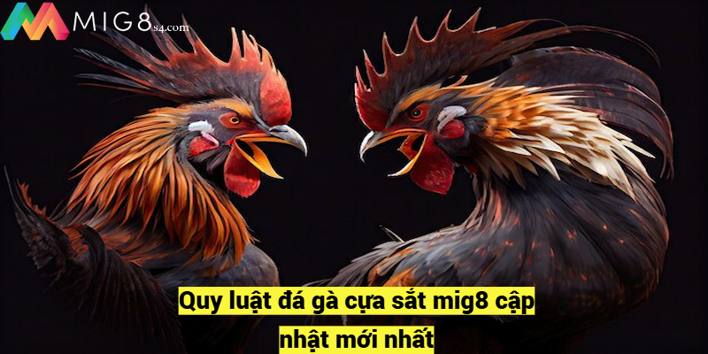 Quy luật đá gà cựa sắt mig8 cập nhật mới nhất